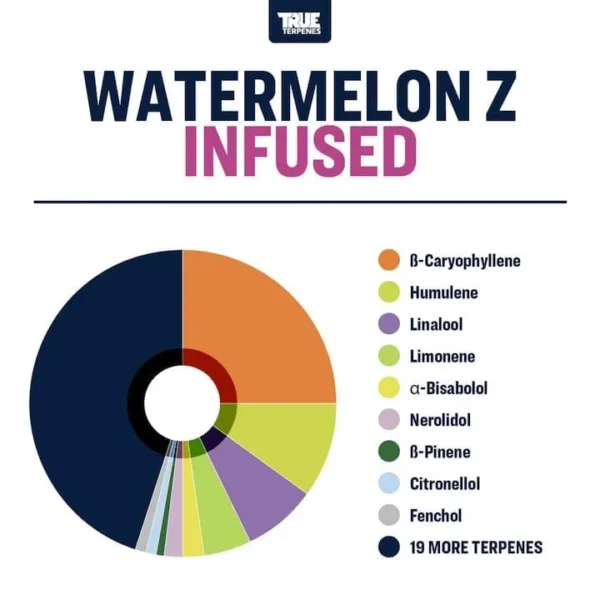 Watermelon Z - Image 2