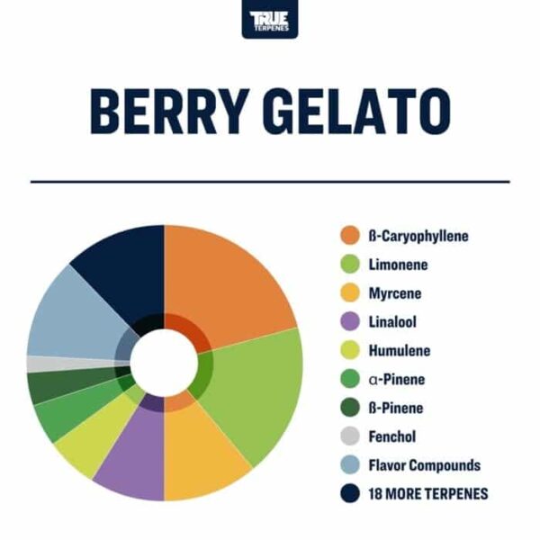 Berry Gelato - Image 2