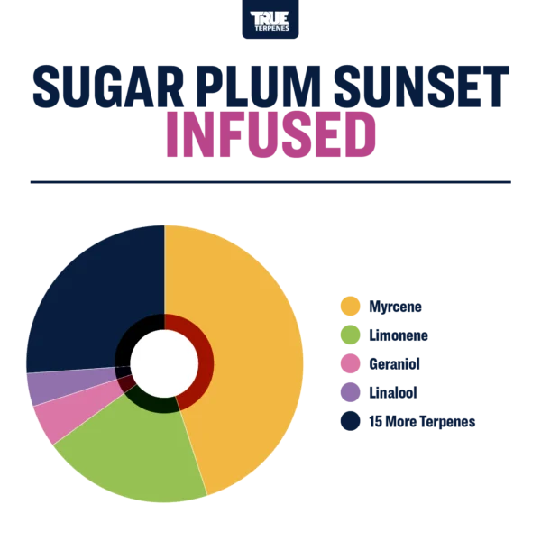 Sugar Plum Sunset - Image 2