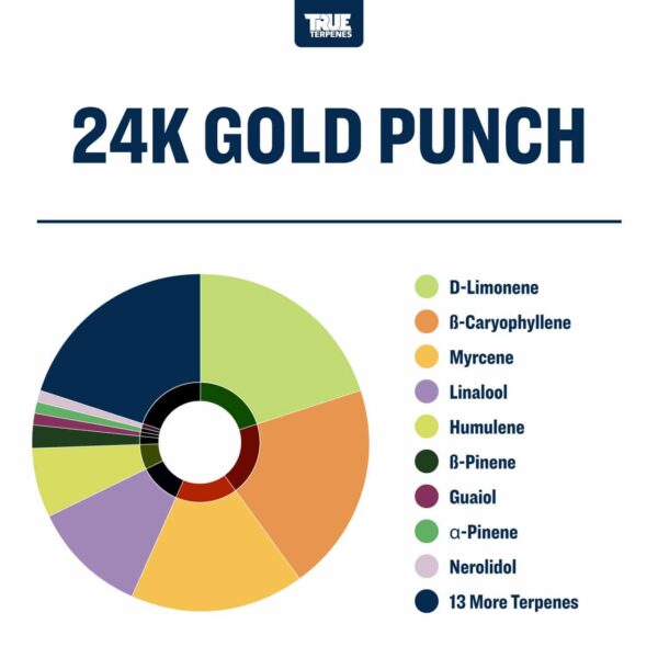 24K Gold Punch - Image 2