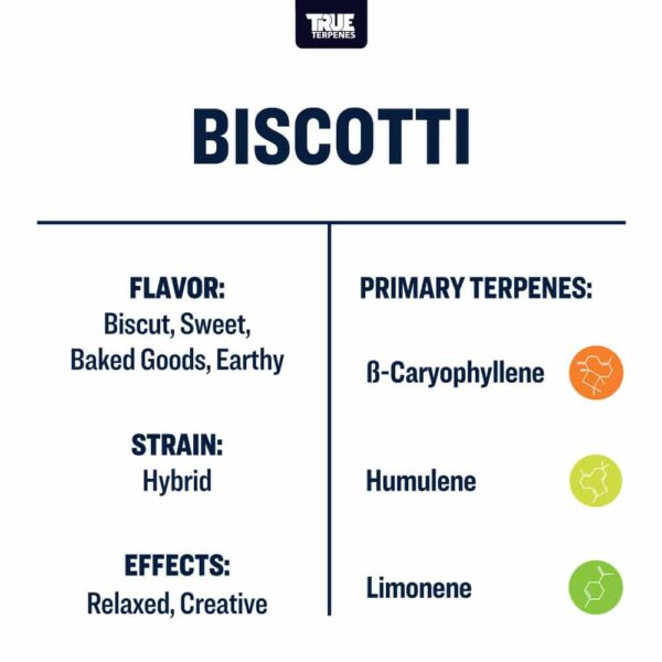 Biscotti - Image 3
