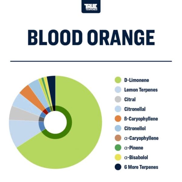 Blood Orange - Image 2