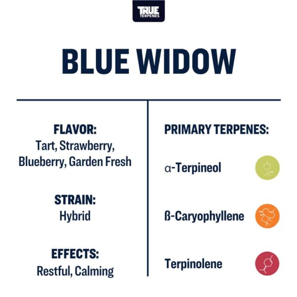 Blue Widow - Image 3