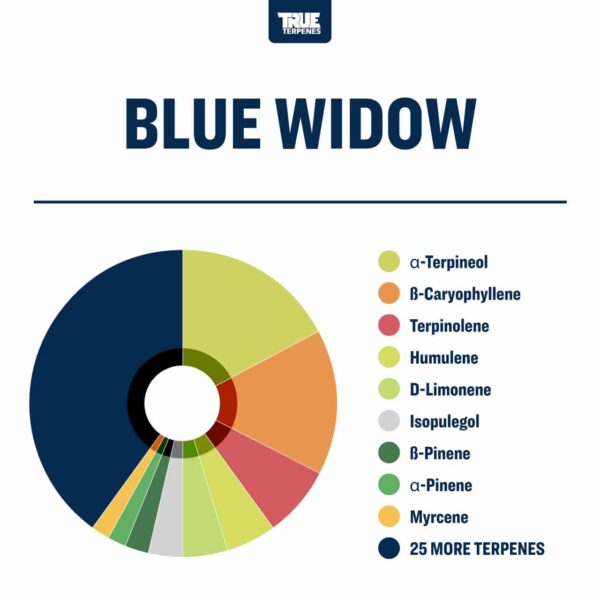 Blue Widow - Image 2