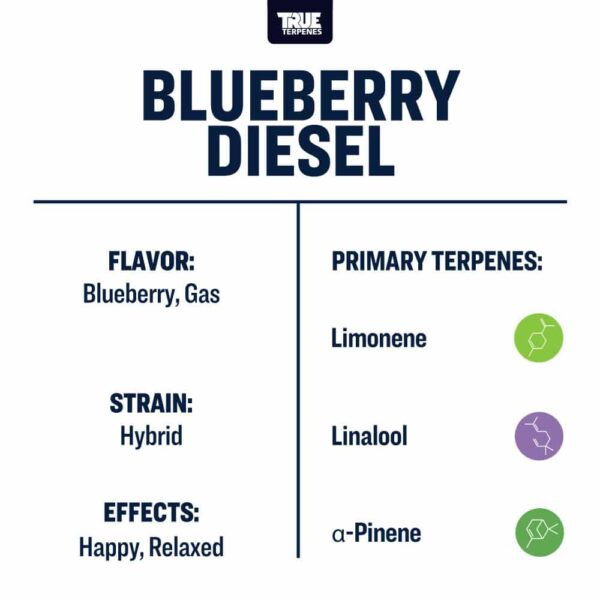 Blueberry Diesel - Image 3