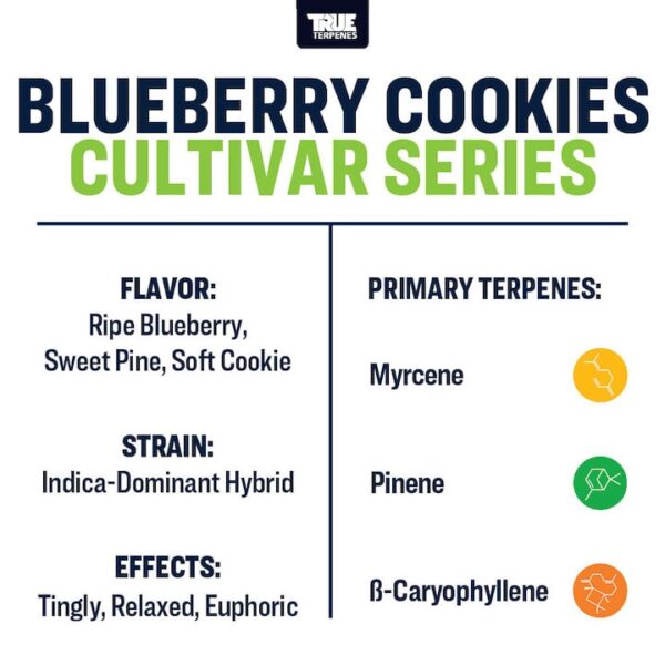 Blueberry Cookies - Image 3