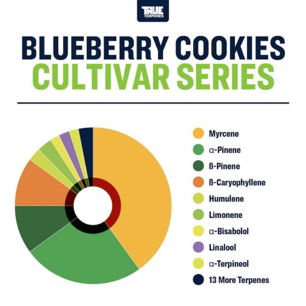 Blueberry Cookies - Image 2