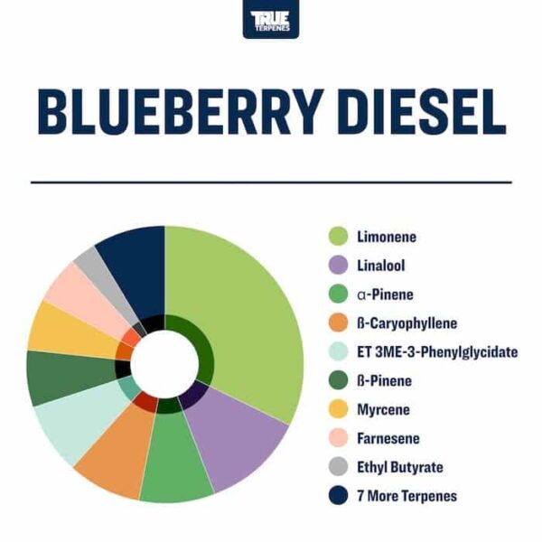 Blueberry Diesel - Image 2