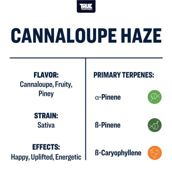 Cannaloupe Haze - Image 3