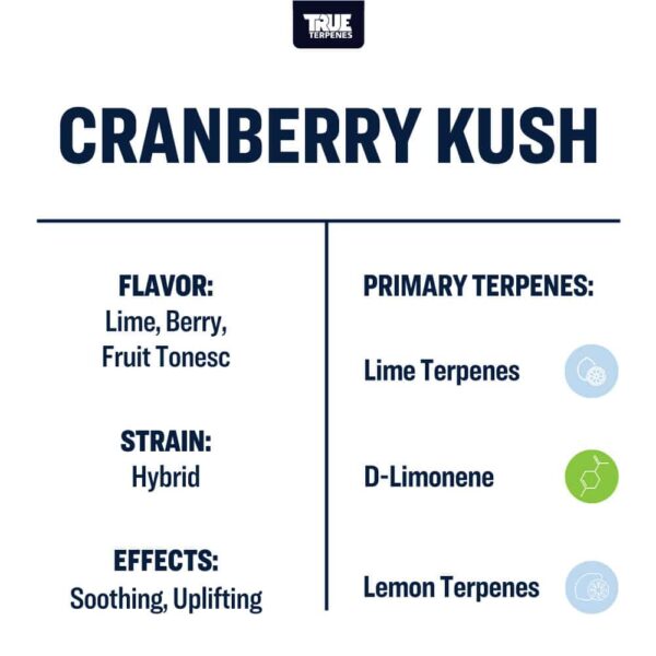 Cranberry Kush - Image 3