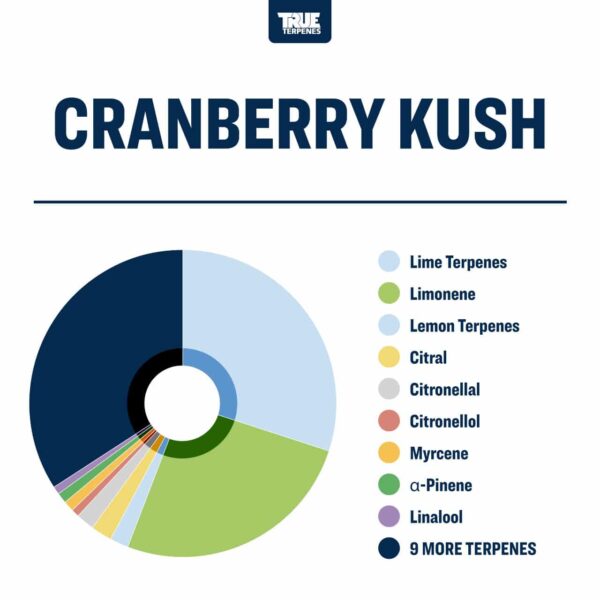 Cranberry Kush - Image 2