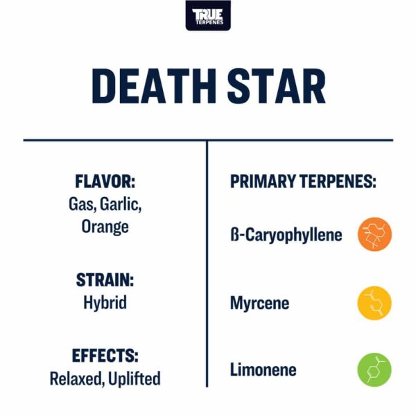 Death Star - Image 3