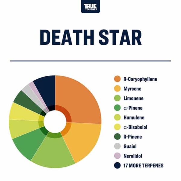 Death Star - Image 2