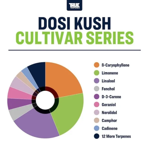 Dosi Kush - Image 2