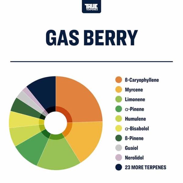 Gas Berry - Image 2