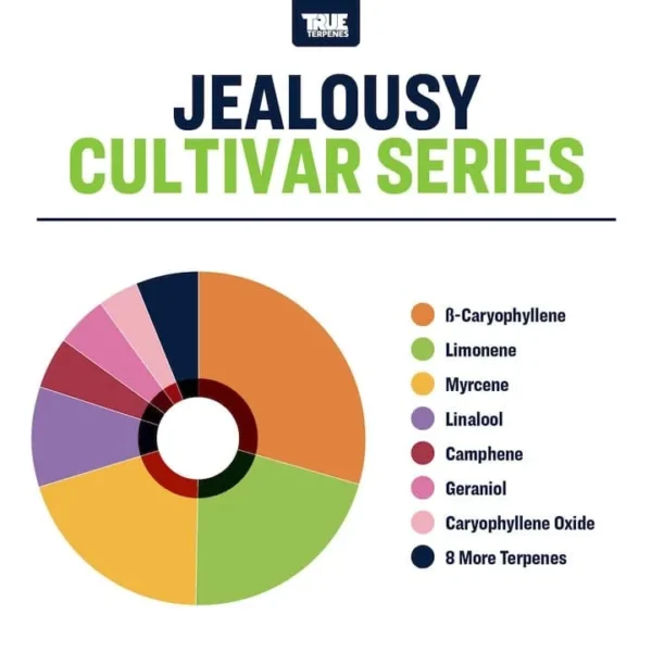 Jealousy - Image 3