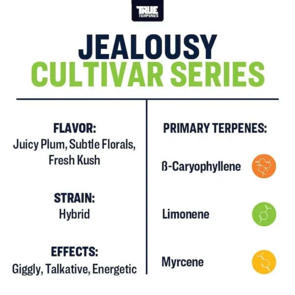 Jealousy - Image 4