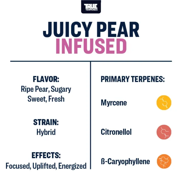 Juicy Pear - Image 3