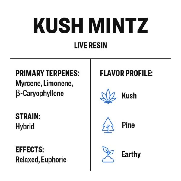 Kush Mintz - Image 3