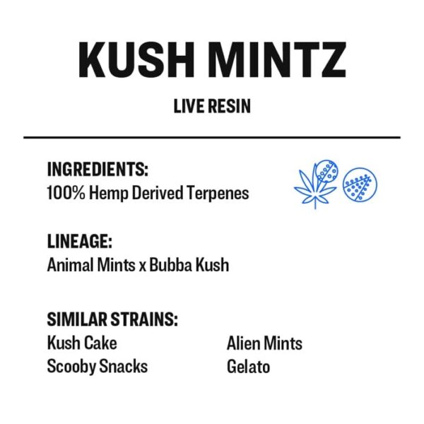 Kush Mintz - Image 2