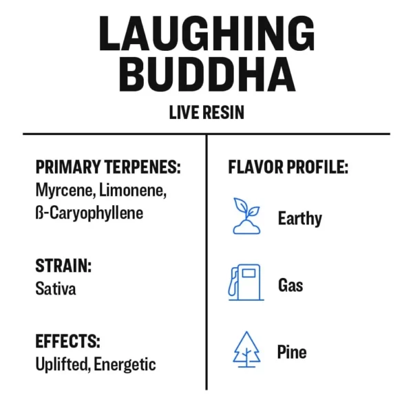 Laughing Buddha - Image 3