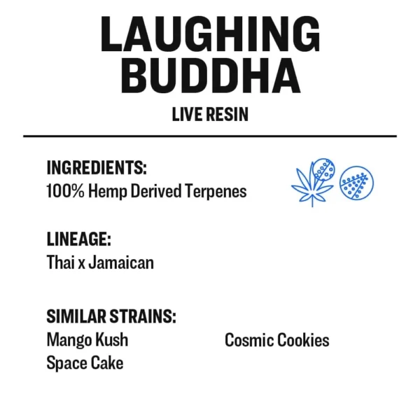 Laughing Buddha - Image 2