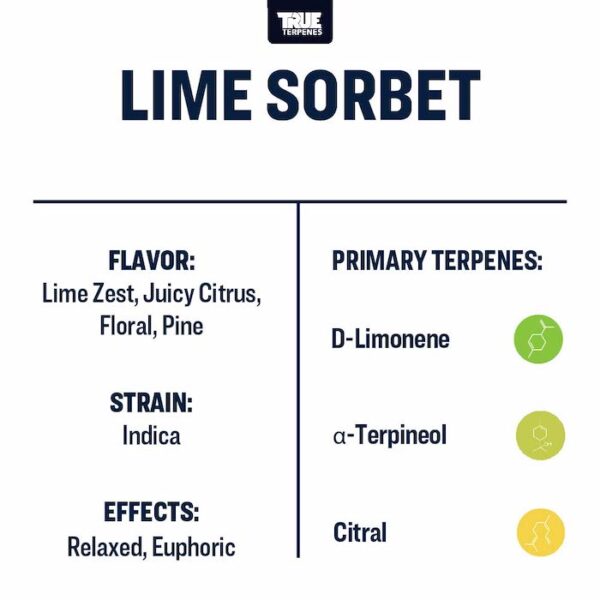 Lime Sorbet - Image 3