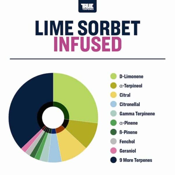 Lime Sorbet - Image 4