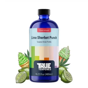 Lime Sherbet Punch