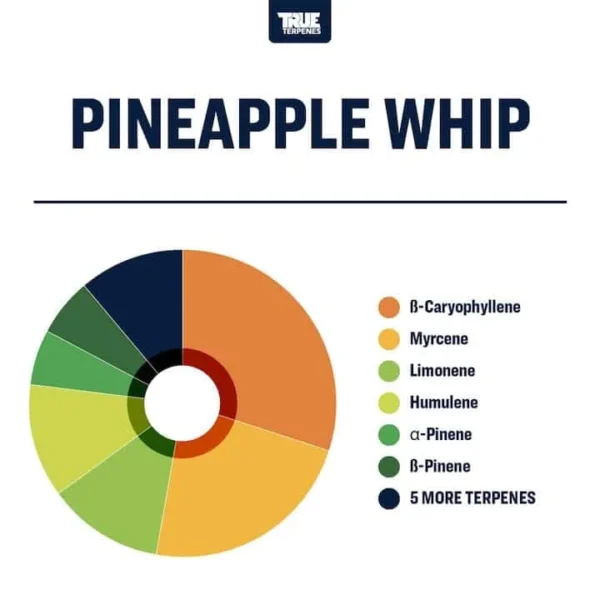 Pineapple Whip - Image 2
