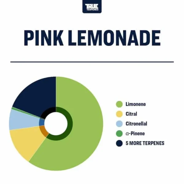 Pink Lemonade - Image 2