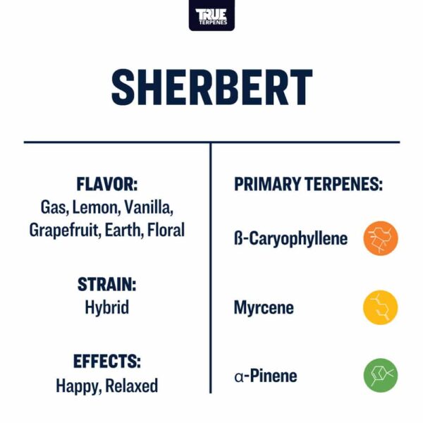 Sherbert - Image 3