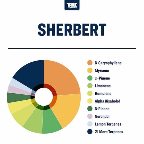 Sherbert - Image 2