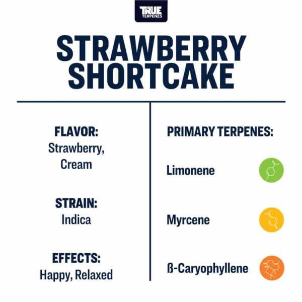 Strawberry Shortcake - Image 3