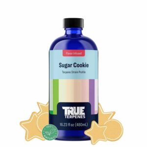 Sugar Cookie