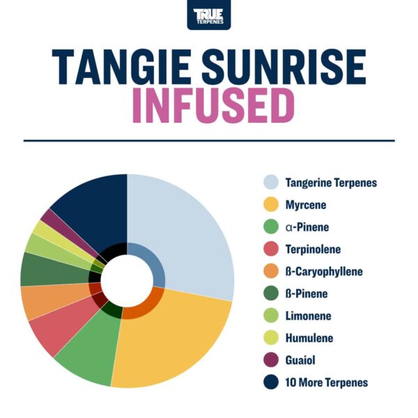 Tangie Sunrise - Image 2