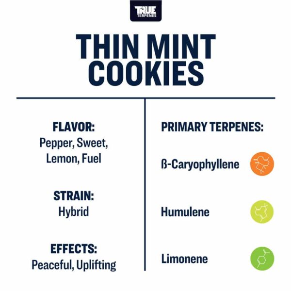 Thin Mint Cookies - Image 3