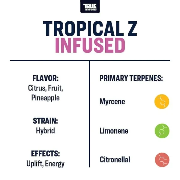 Tropical Z - Image 3