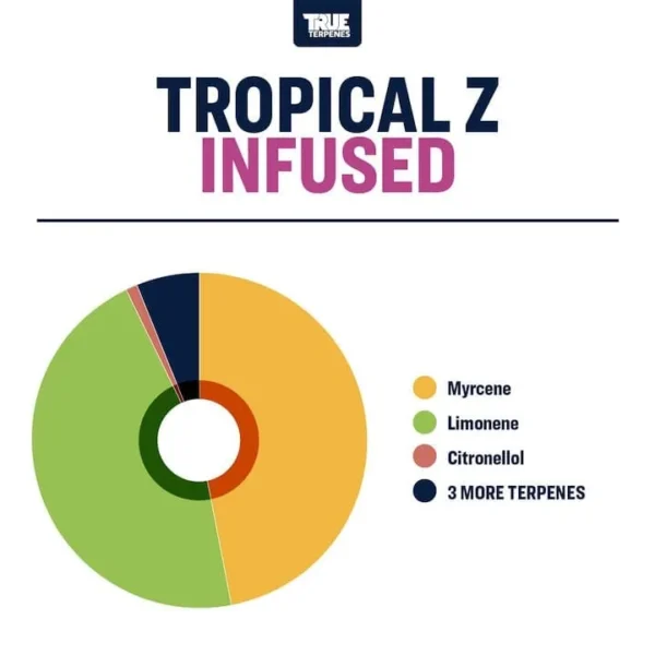 Tropical Z - Image 2