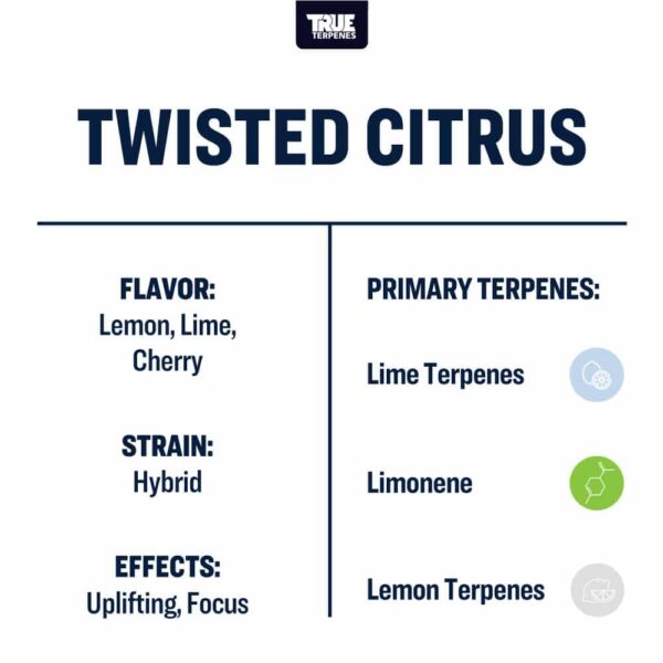 Twisted Citrus - Image 4
