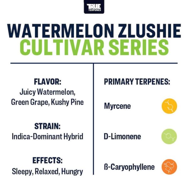 Watermelon Zlushie - Image 3