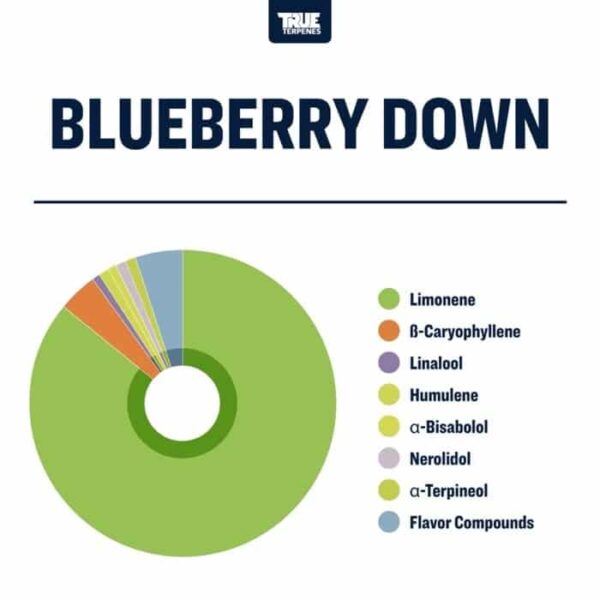 Blueberry Down - Image 2