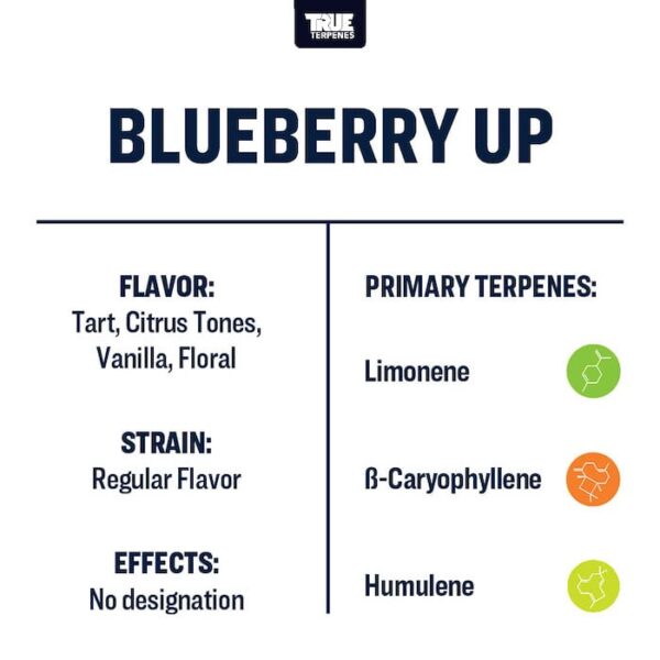 Blueberry Up - Image 3