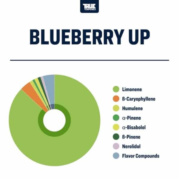 Blueberry Up - Image 2