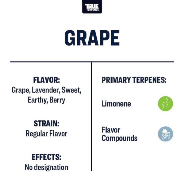 Grape - Image 3
