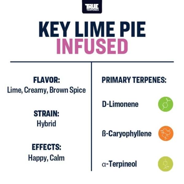 Key Lime Pie - Image 3