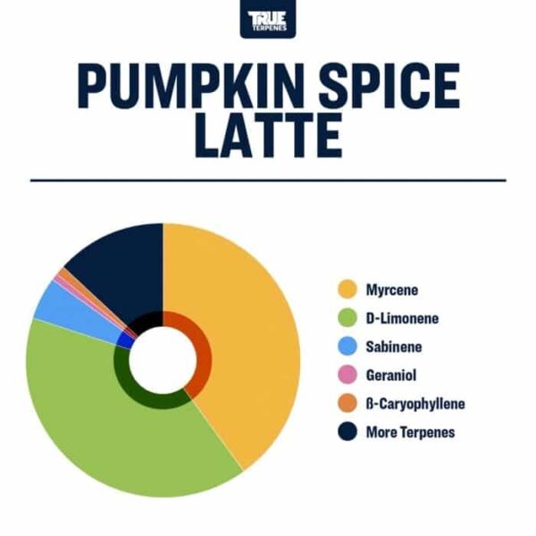 Pumpkin Spice Latte - Image 2