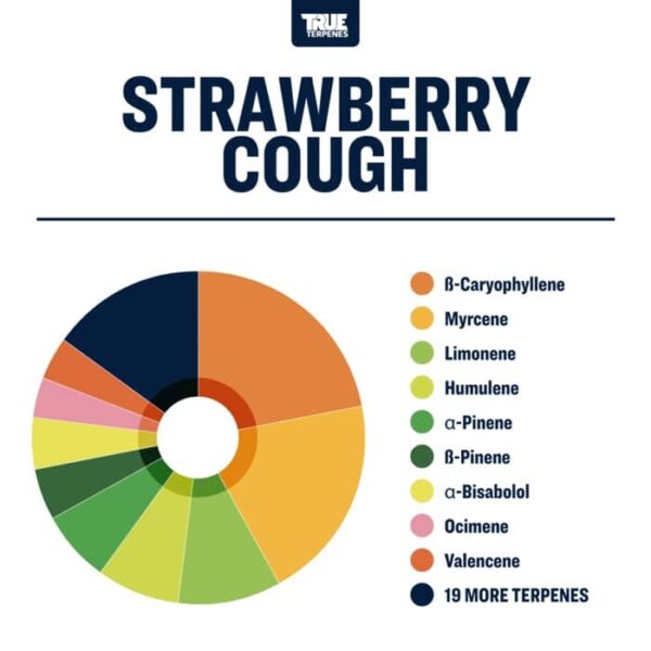 Strawberry Cough - Image 3