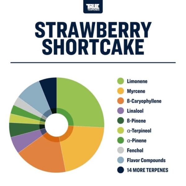 Strawberry Shortcake - Image 2