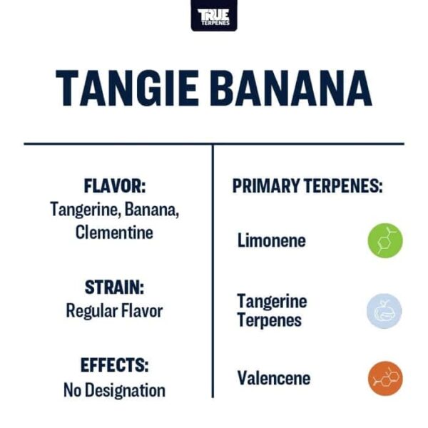 Tangie Banana - Image 3
